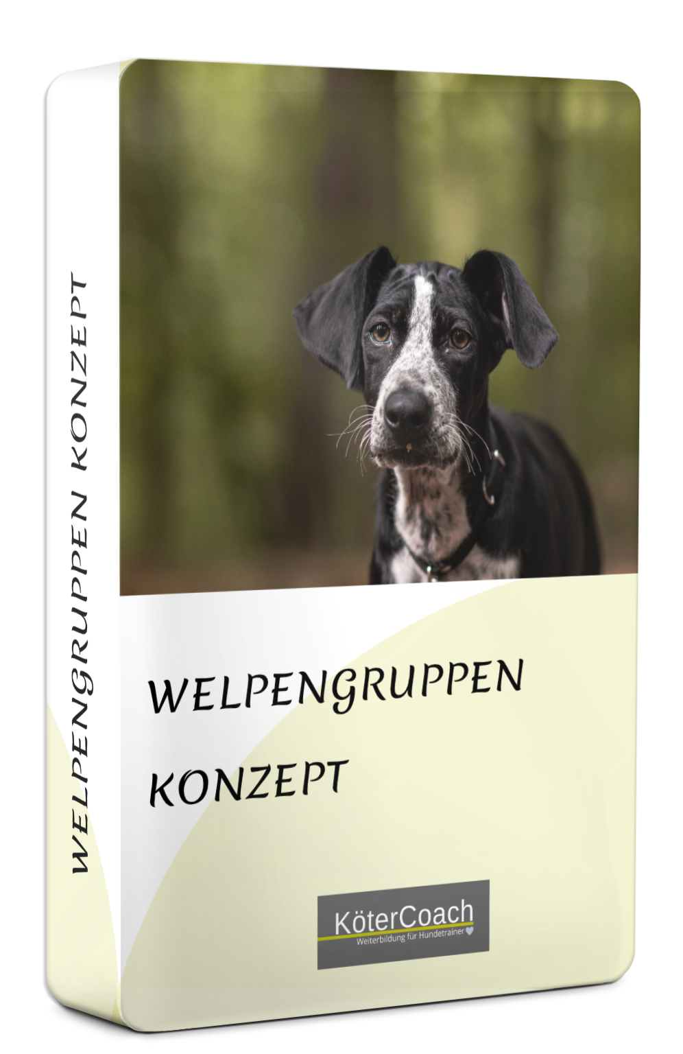 welpenbox