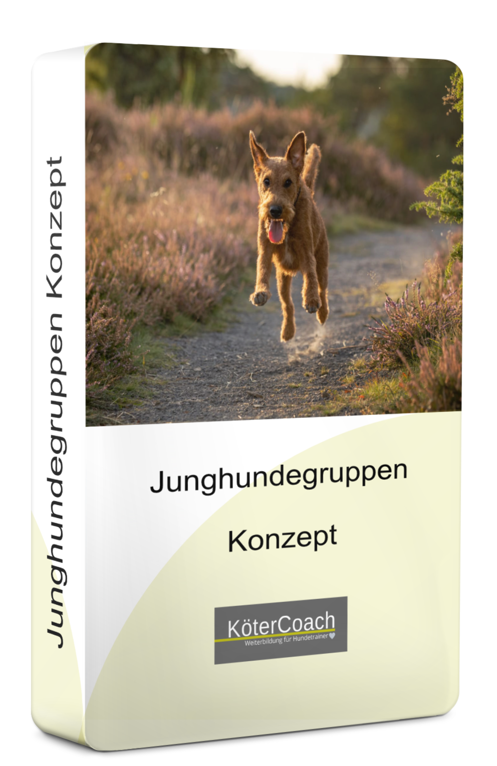 Junghundegruppe_01_01_01_01_01