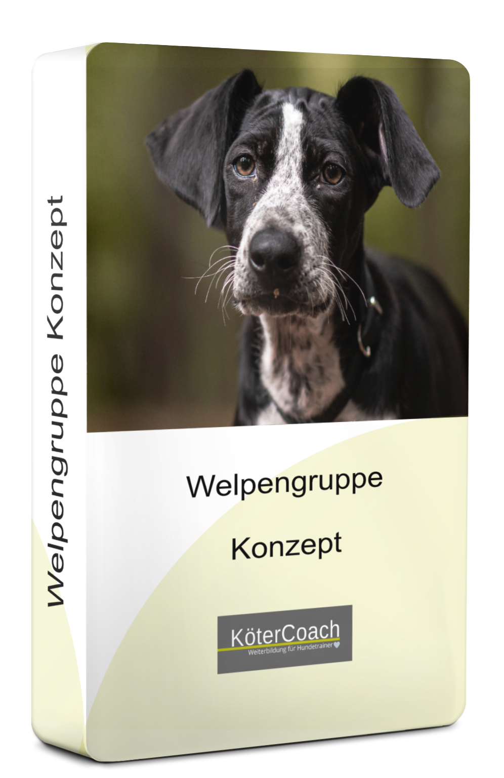 Welpengruppe Konzept_01_01_01